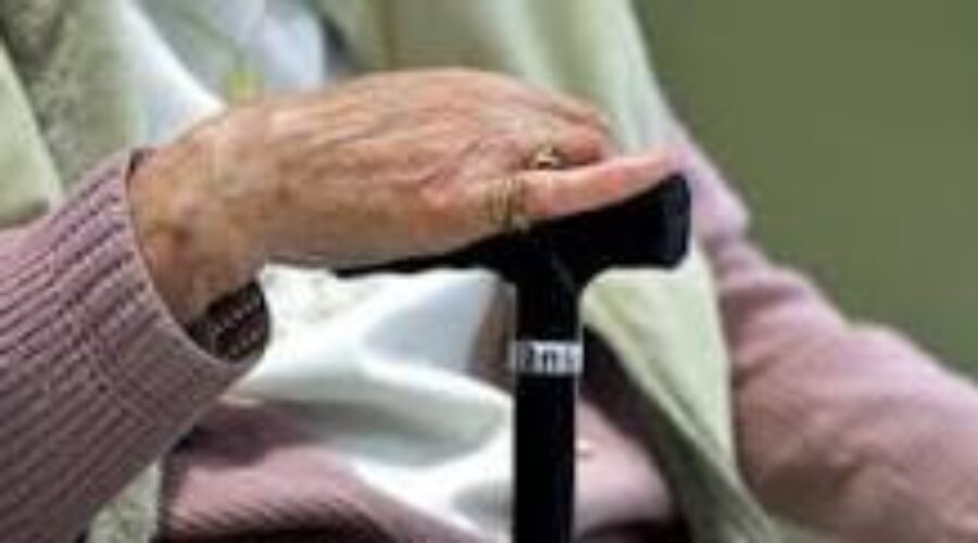 Minister of seniors discusses budget, community projects