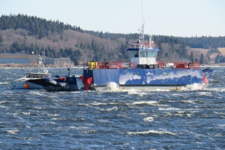 Provincial ferries to be free permanently