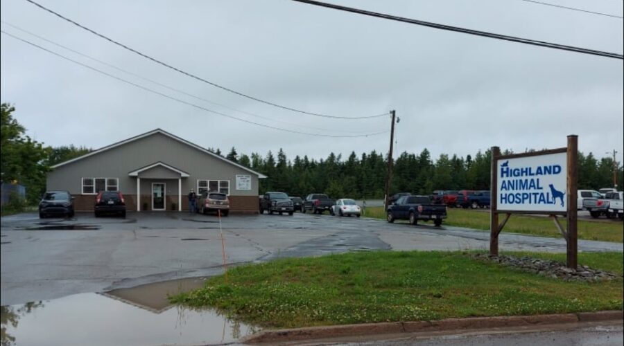 Port Hawkesbury vet to surrender licence, sell practice