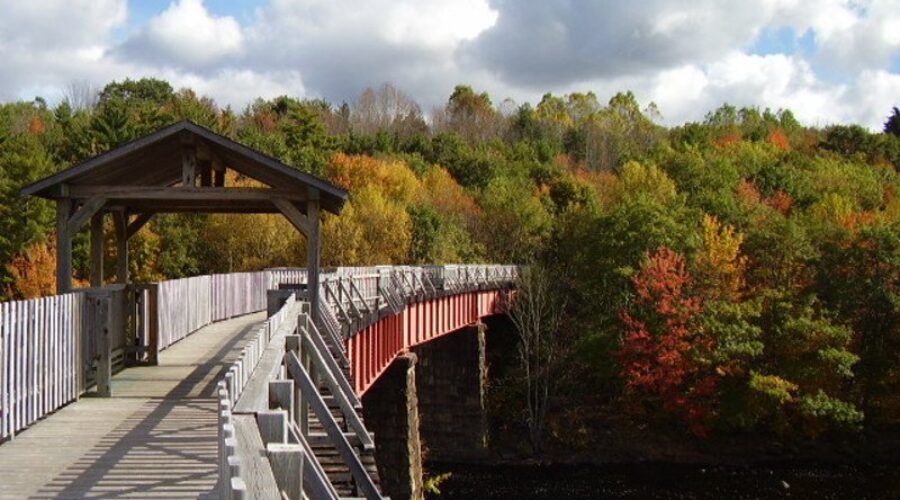 Hike NS Looking For Election Committment