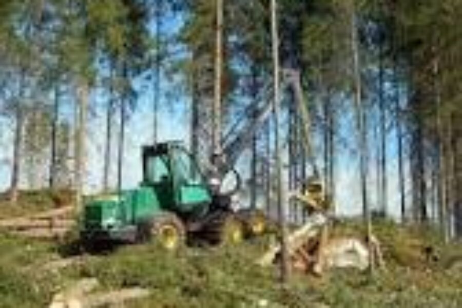 Provincial Investments Continue To Support Ecological Forestry