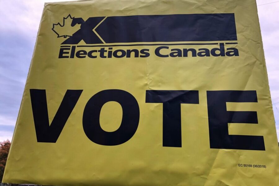 Election day 24: vaccine passports, rent control, and fertility treatments