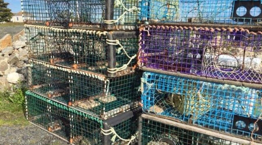 UFCA Concerned With NDP Response On Moderate Livelihood Fisheries