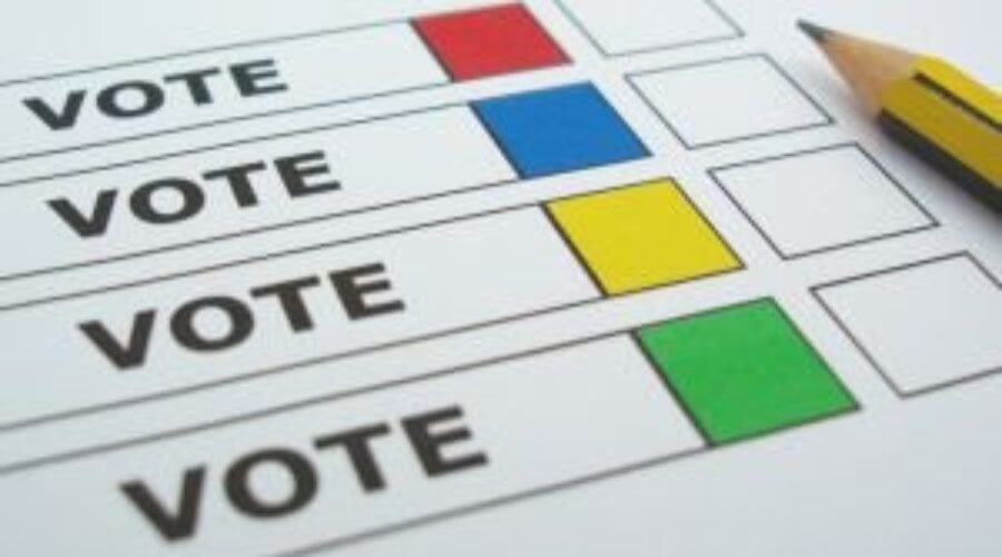 Provincial election campaign hits Day 25