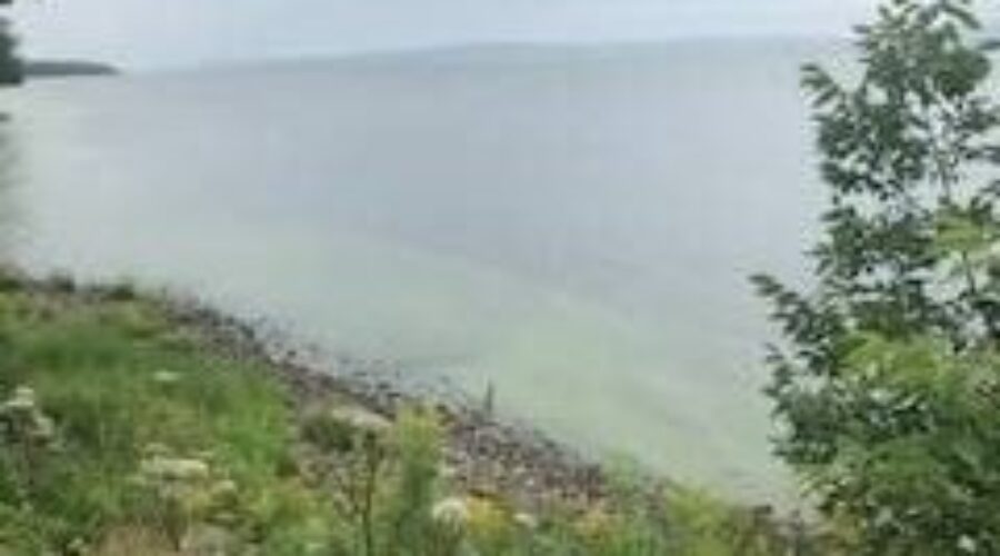 Local lake closed by Blue-Green Algae