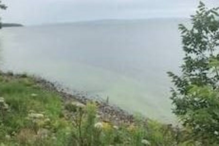 Local lake closed by Blue-Green Algae