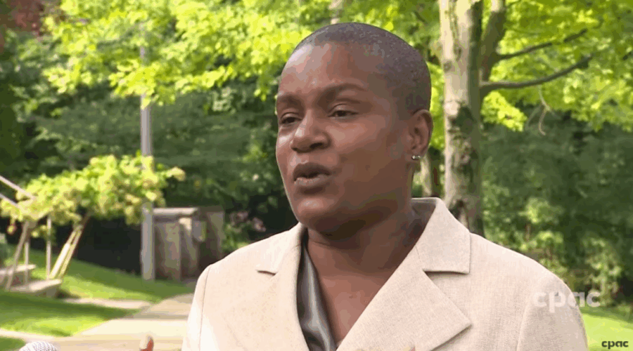 Federal Green Party Leader Steps Down