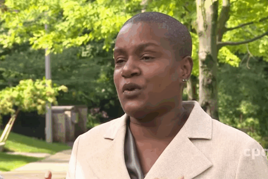 Federal Green Party Leader Steps Down