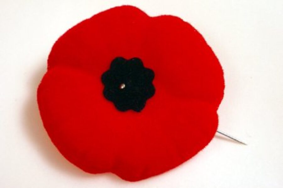 100 Years Of The Remembrance Poppy In Canada