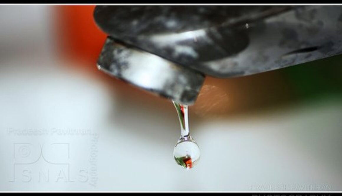 8851275965_9302180d80