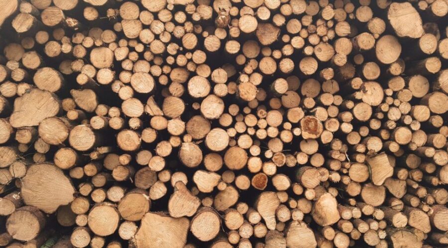 Higher Softwood Lumber Tariffs Don’t Make Sense: Expert