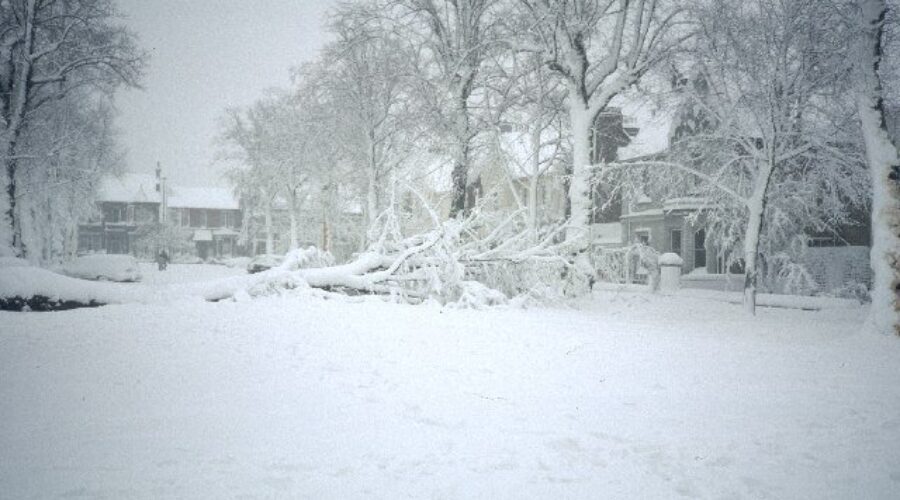 Preparing Your Home Or Business For Winter