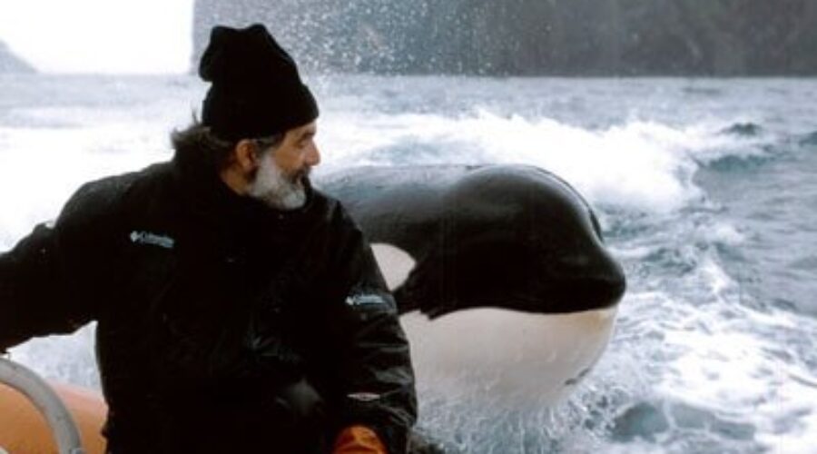 Whale sanctuary opens visitor centre