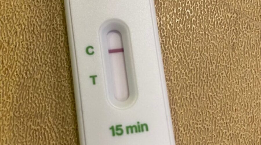 COVID-19: N.S. reports 561 new cases (Dec 28)