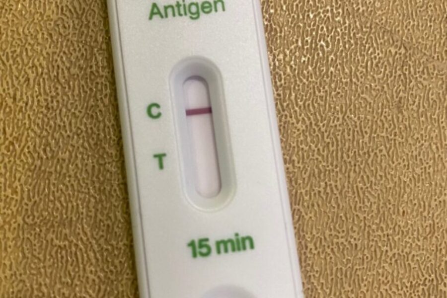 COVID-19: N.S. reports 561 new cases (Dec 28)