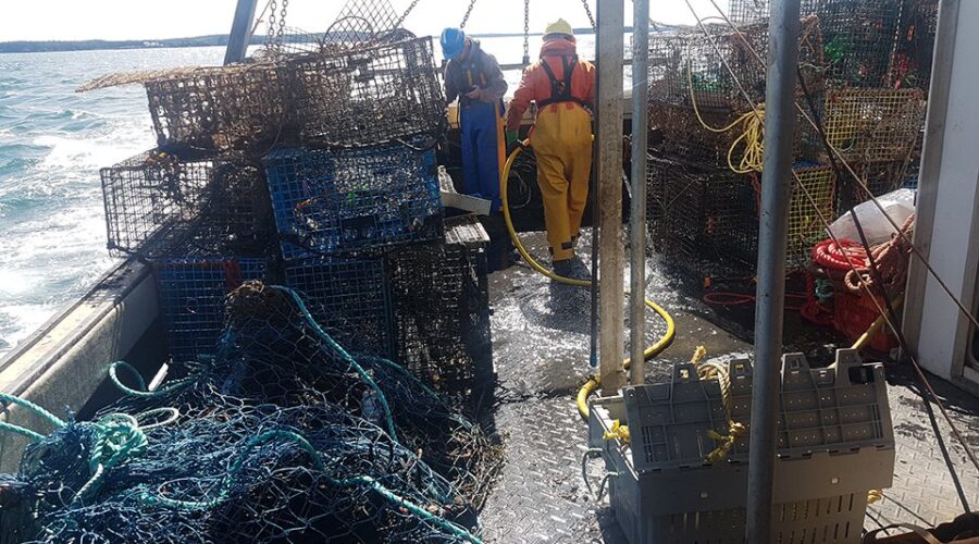 Ghost Fishing Gear Cleanup Project Surpasses 700 Tonnes Mark