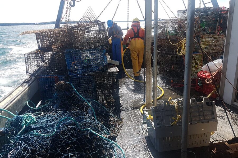 Ghost Fishing Gear Cleanup Project Surpasses 700 Tonnes Mark