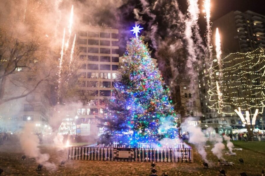 VIDEO: Deck the halls, Nova Scotia’s annual Christmas tree gift a Boston ‘superstar’