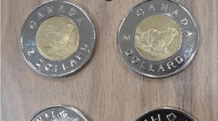 Bogus Toonies spotted in Ontario