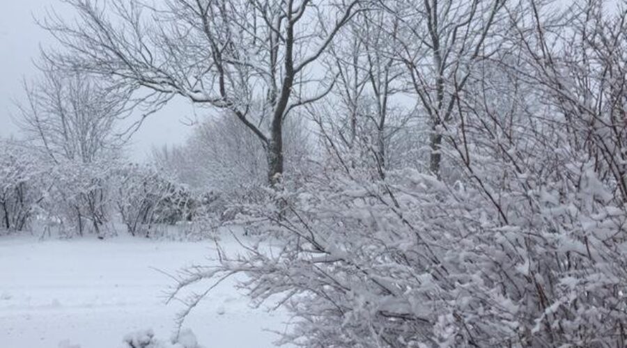 Weekend Storm Will Bring Snow, Then Rain To N.S.