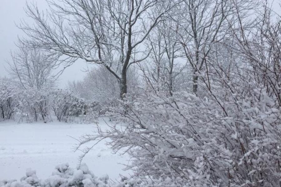 Weekend Storm Will Bring Snow, Then Rain To N.S.