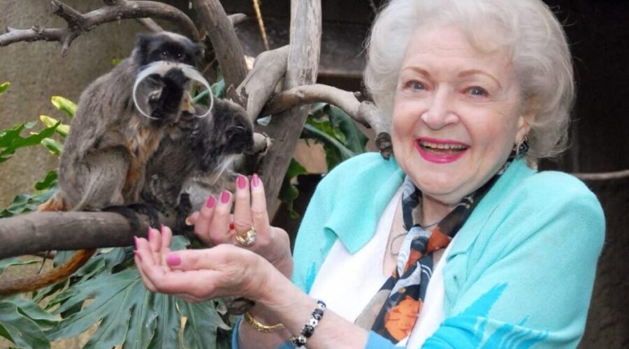 Nova Scotia SPCA gets $78,000 from #BettyWhiteChallenge