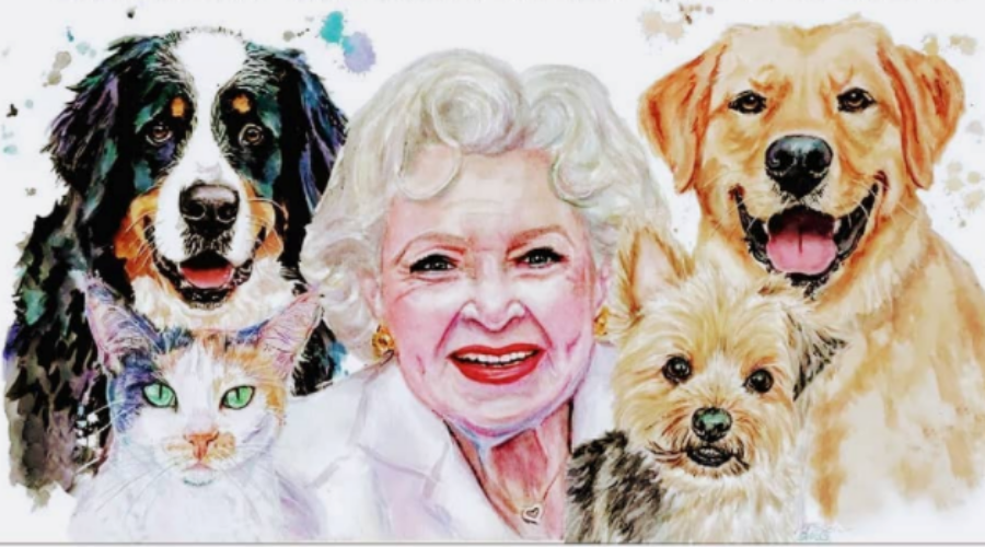 Betty White Challenge – local donation totals!