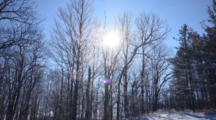 NCC: Nature Helping Canadians During the Pandemic