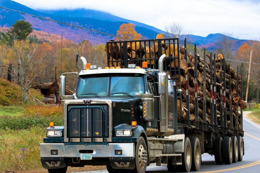 Province Allowing Special Move Permits for Some in Forestry Industry