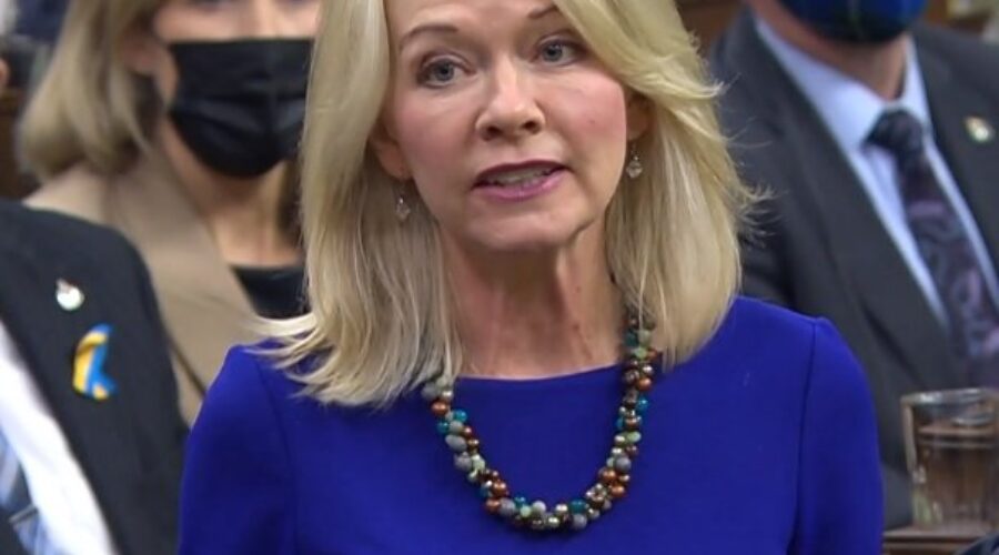 Federal Conservative Leader Says More Needs To Be Done