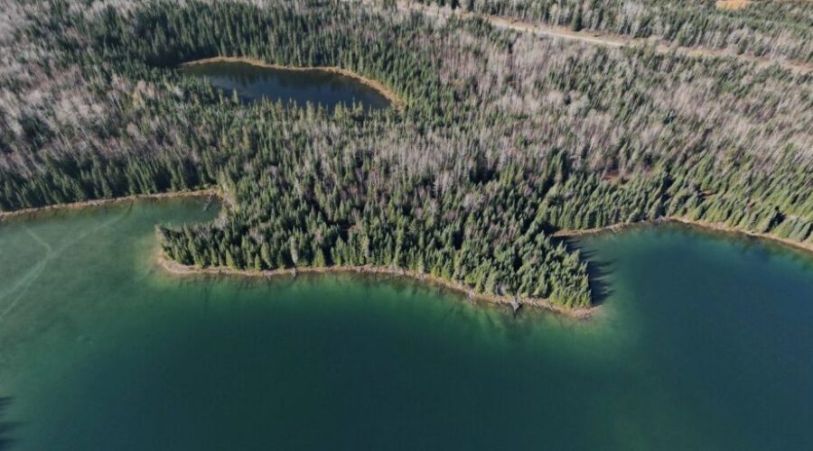 Canada’s Largest Conservation Effort In History