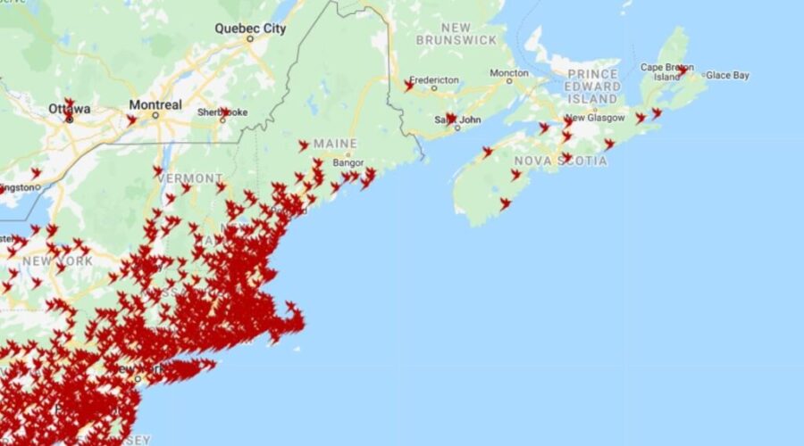 Have you spotted any hummingbirds yet?