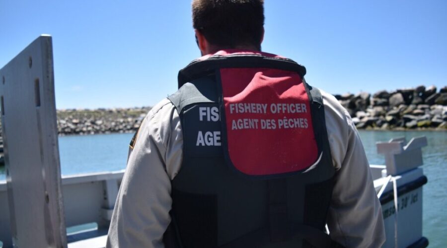 DFO undertaking major recruiting effort, looking to hire 200 officers in next three years