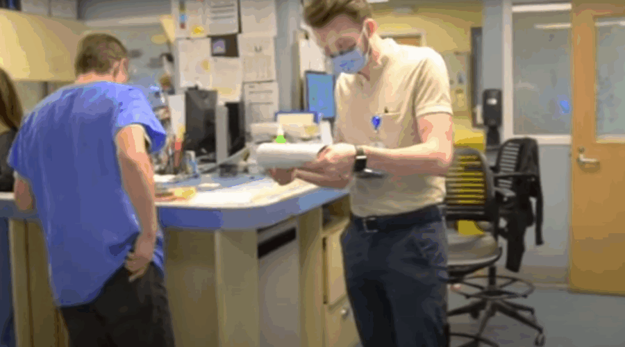 IWK seeing increase in ER visits
