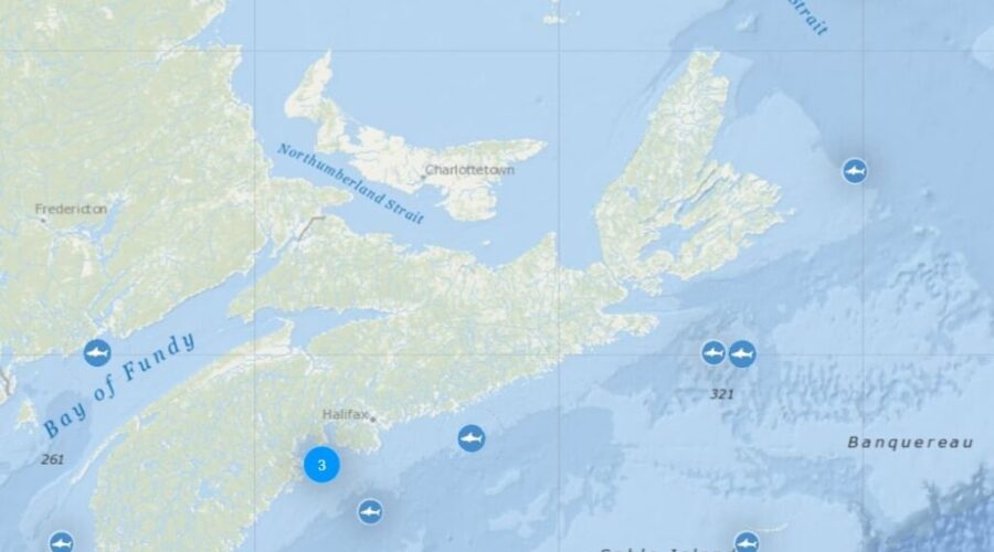 Check out which Ocearch tagged sharks are near us!