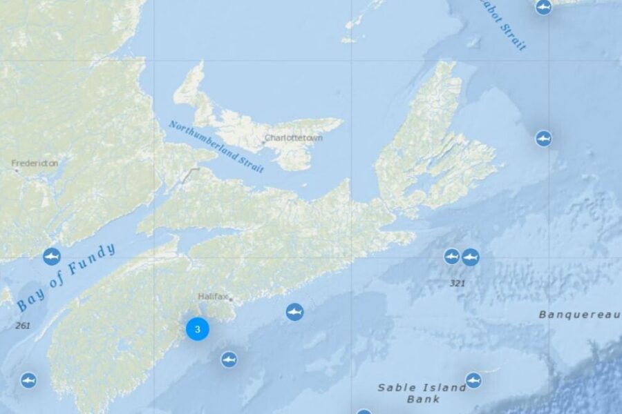 Check out which Ocearch tagged sharks are near us!