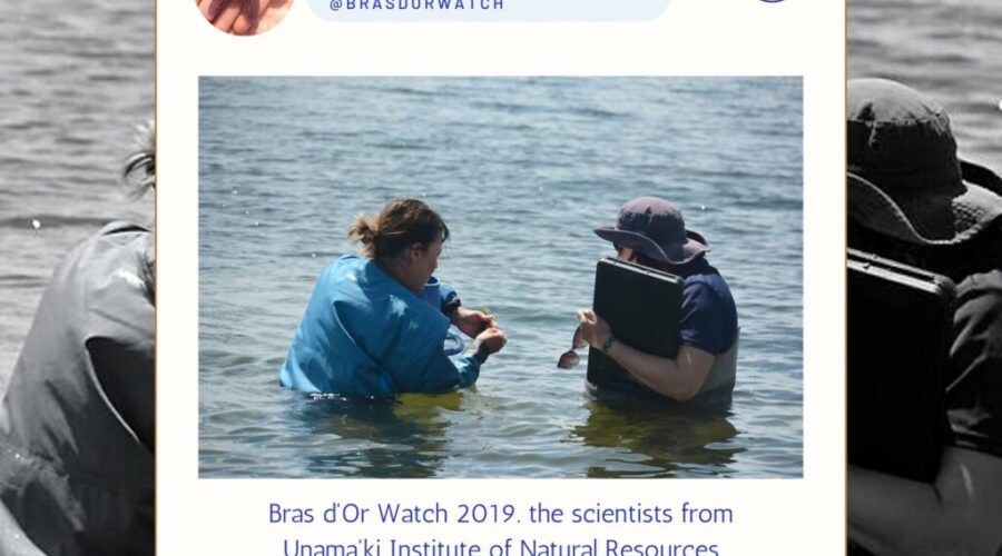 8th annual Bras D’or Watch Field Day set for next weekend