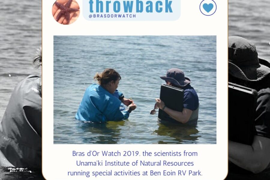 8th annual Bras D’or Watch Field Day set for next weekend