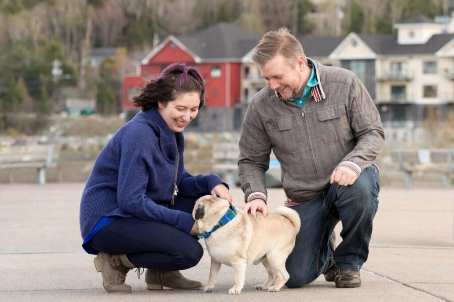 N.S. pet sitters see business boom as pandemic restrictions drop