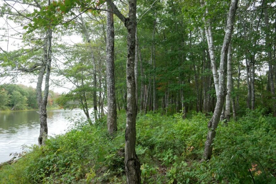 Protecting 25% Of Federal Land By 2025 Not On Pace: NCC