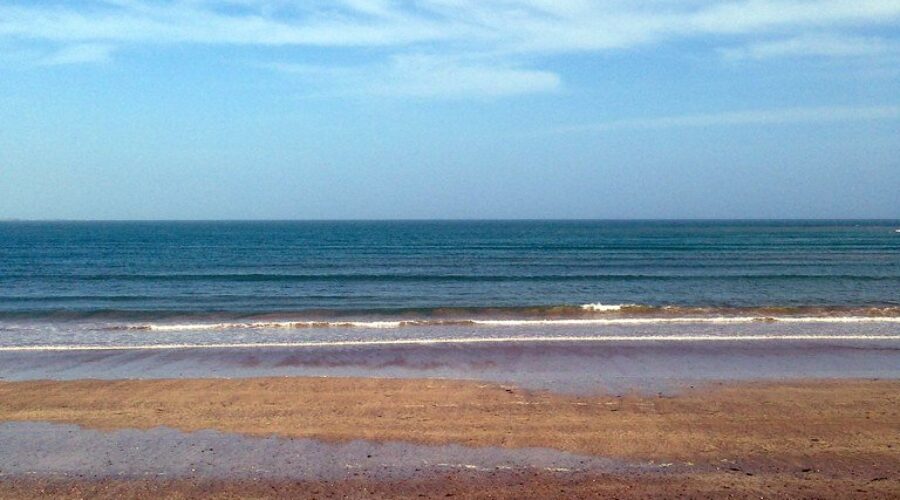 CIBC Poll Finds Inflation Taking Toll On Summer Plans