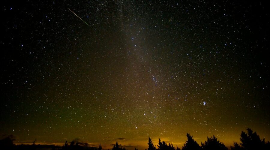 Enjoying The Perseids Meteor Shower