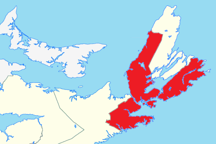 Mira Gut Bridge Officially Opens