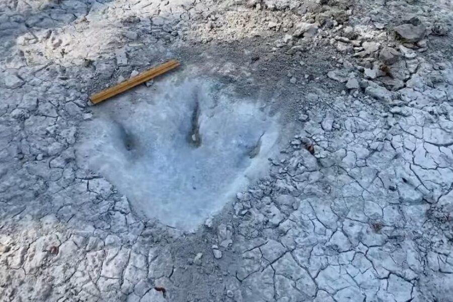 Dinosaur Tracks Found In Texas Lakebed
