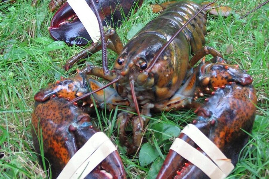 Funding Put Aside for Marine Interpretative Centre