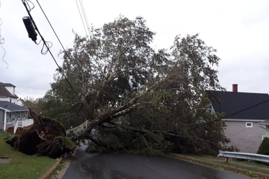 Power outages dropping as big clean up continues