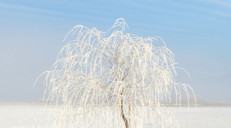 Old Farmer’s Almanac predicts a “frosty, frigid, freezing” winter