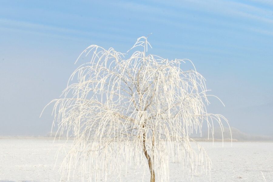 Old Farmer’s Almanac predicts a “frosty, frigid, freezing” winter