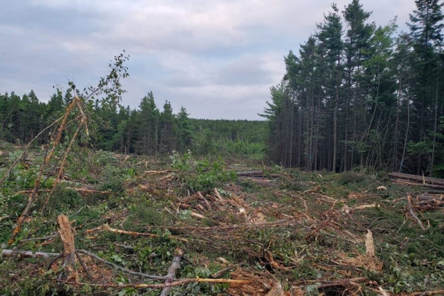 Environmentalists rally against fast-tracked housing development in Dartmouth