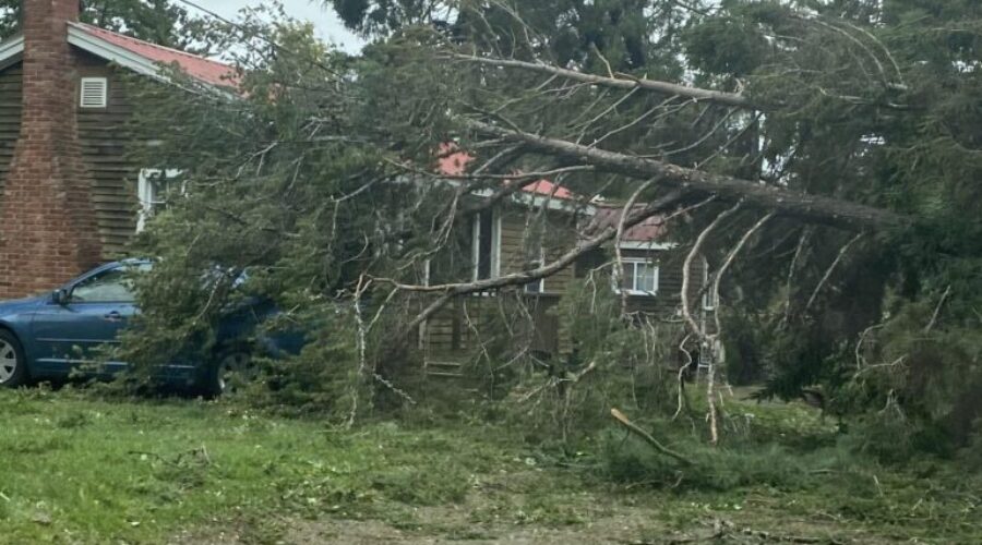 Know What Your Insurance Policy Covers, IBC Advisor Says